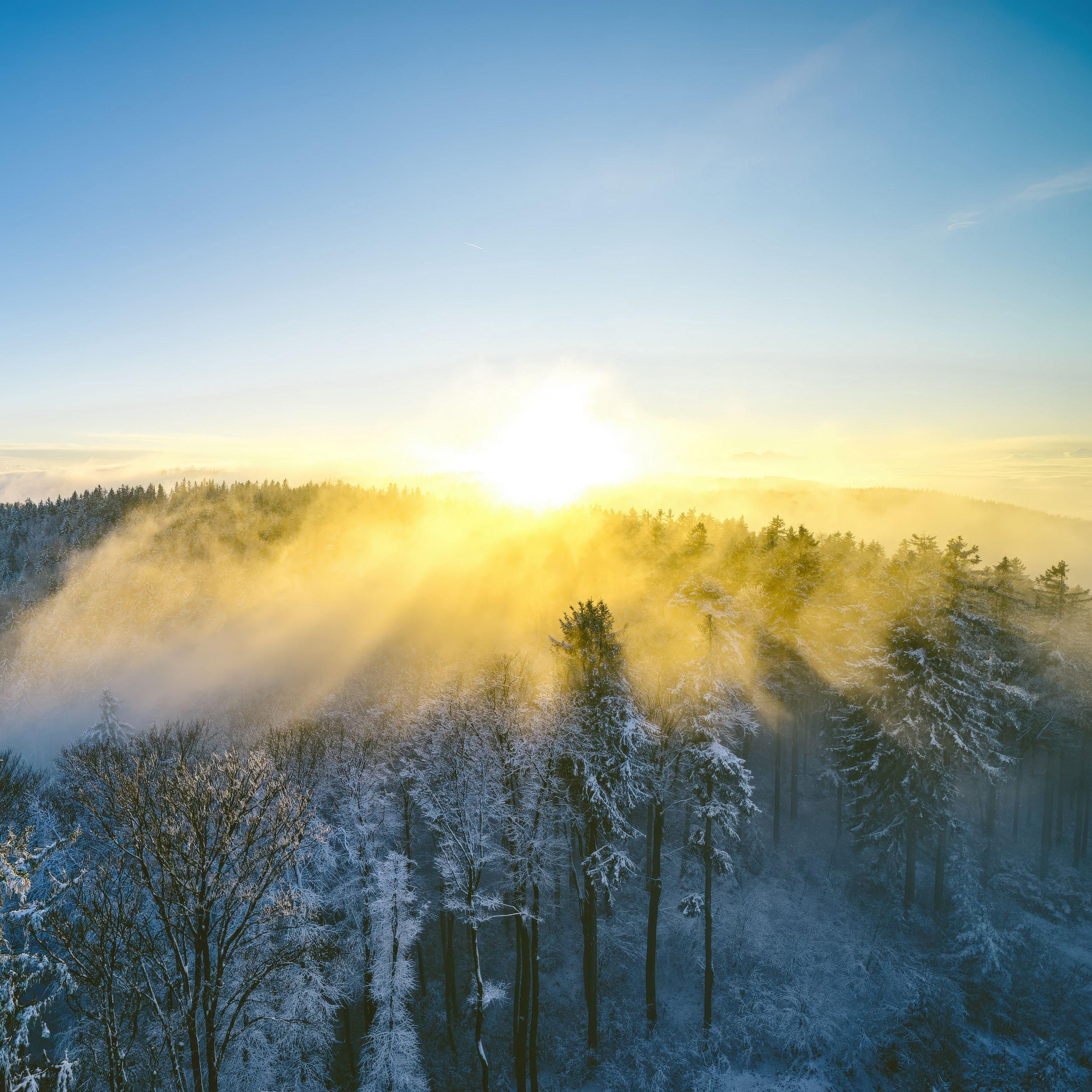 2780x2780 Wallpaper landscape, forest, mountain, sun, winter, light