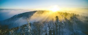 Preview wallpaper landscape, forest, mountain, sun, winter, light