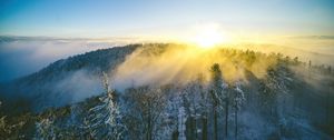 Preview wallpaper landscape, forest, mountain, sun, winter, light