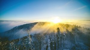 Preview wallpaper landscape, forest, mountain, sun, winter, light