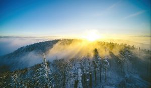 Preview wallpaper landscape, forest, mountain, sun, winter, light