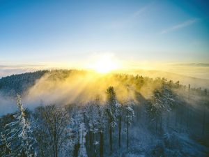 Preview wallpaper landscape, forest, mountain, sun, winter, light