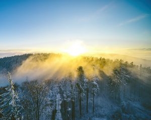 Preview wallpaper landscape, forest, mountain, sun, winter, light