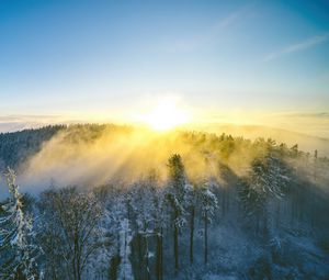 Preview wallpaper landscape, forest, mountain, sun, winter, light