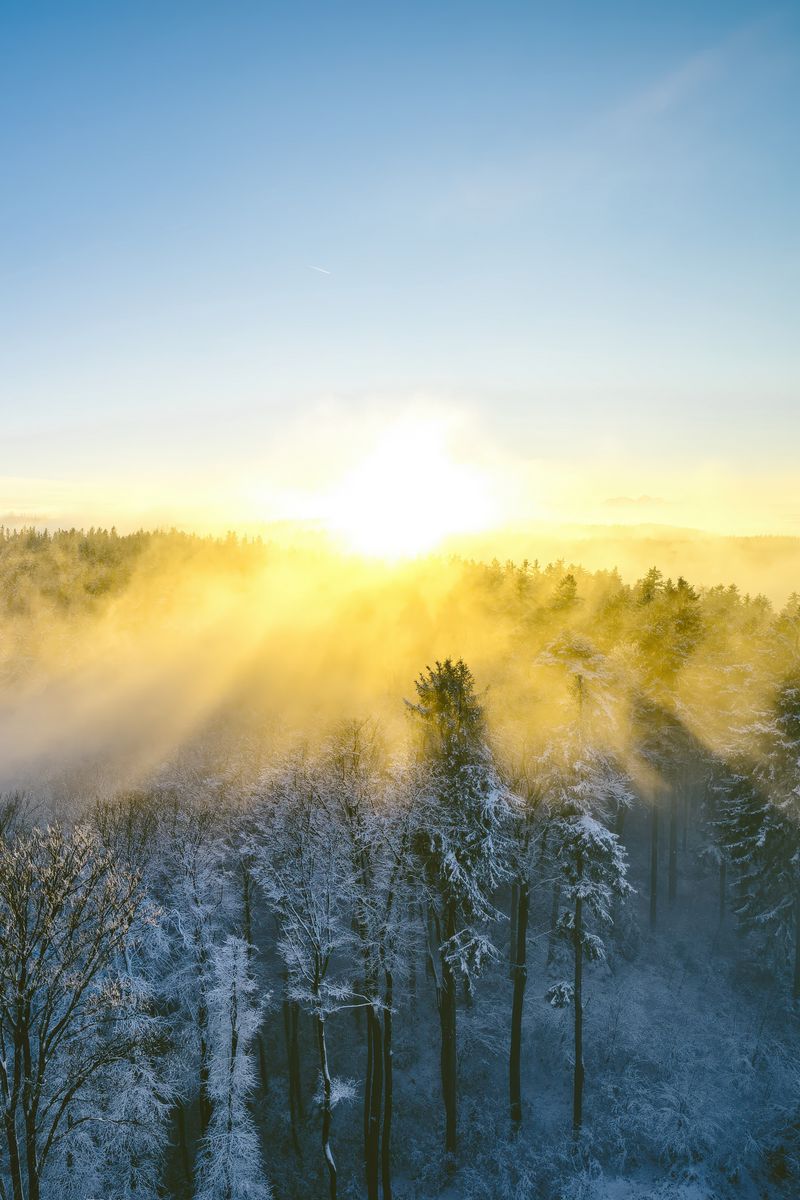 800x1200 Wallpaper landscape, forest, mountain, sun, winter, light