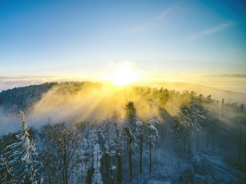 800x600 Wallpaper landscape, forest, mountain, sun, winter, light