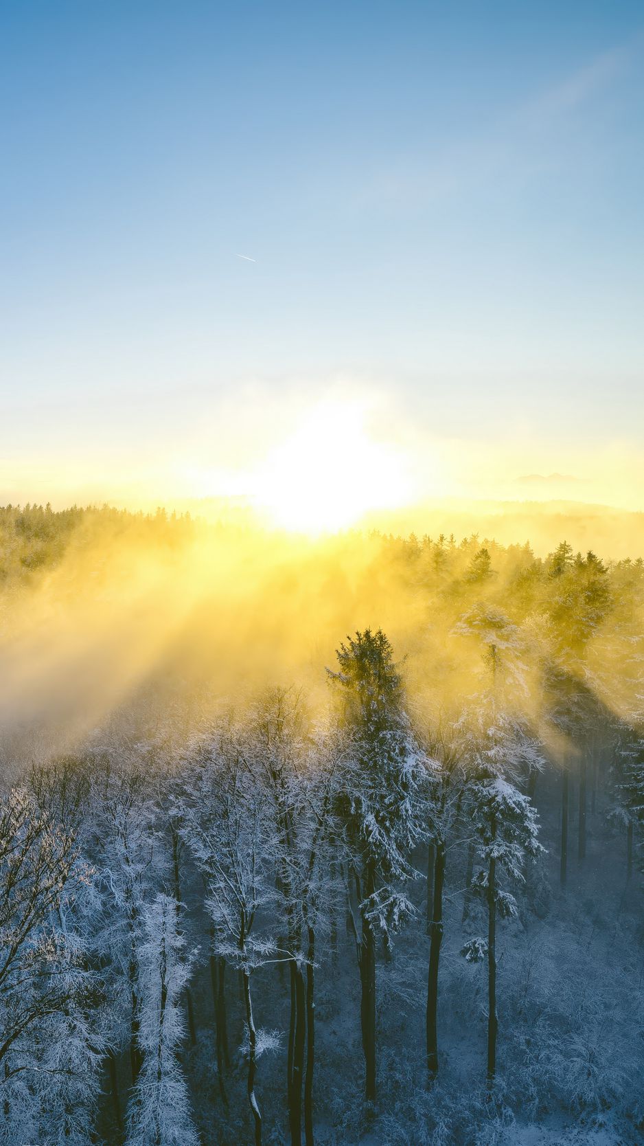 938x1668 Wallpaper landscape, forest, mountain, sun, winter, light