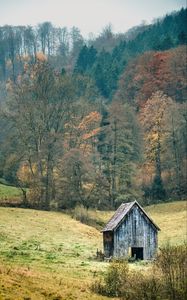 Preview wallpaper landscape, forest, tree, autumn, barn, nature