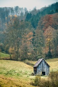 Preview wallpaper landscape, forest, tree, autumn, barn, nature