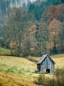 Preview wallpaper landscape, forest, tree, autumn, barn, nature