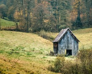 Preview wallpaper landscape, forest, tree, autumn, barn, nature