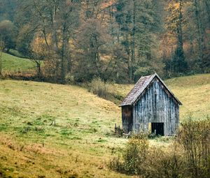 Preview wallpaper landscape, forest, tree, autumn, barn, nature