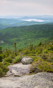 Preview wallpaper landscape, forest, trees, lake, stone, nature