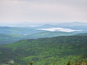 Preview wallpaper landscape, forest, trees, lake, stone, nature