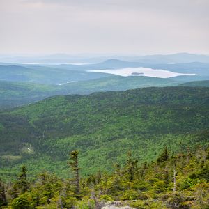 Preview wallpaper landscape, forest, trees, lake, stone, nature