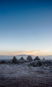 Preview wallpaper landscape, frost, fog, trees, bushes