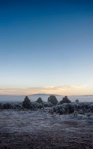 Preview wallpaper landscape, frost, fog, trees, bushes