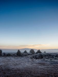 Preview wallpaper landscape, frost, fog, trees, bushes