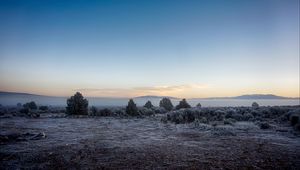 Preview wallpaper landscape, frost, fog, trees, bushes