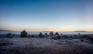 Preview wallpaper landscape, frost, fog, trees, bushes