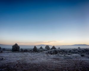 Preview wallpaper landscape, frost, fog, trees, bushes