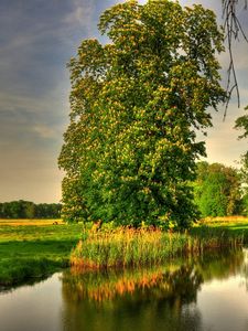 Preview wallpaper landscape, germany, basedow, hdr, nature