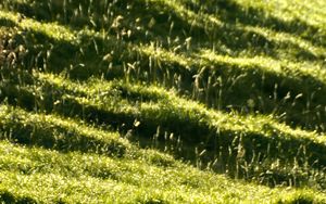 Preview wallpaper landscape, grass, slope, nature