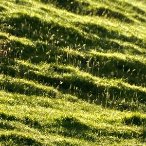 Preview wallpaper landscape, grass, slope, nature