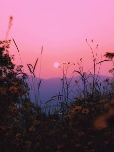 Preview wallpaper landscape, grass, sun, mountains, sunset, horizon