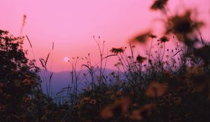 Preview wallpaper landscape, grass, sun, mountains, sunset, horizon