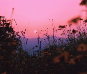 Preview wallpaper landscape, grass, sun, mountains, sunset, horizon