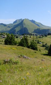 Preview wallpaper landscape, grass, trees, mountains, valley