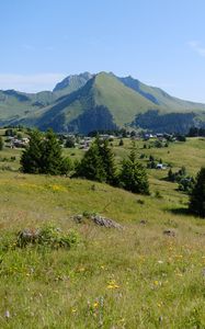 Preview wallpaper landscape, grass, trees, mountains, valley