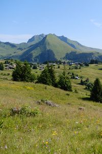 Preview wallpaper landscape, grass, trees, mountains, valley