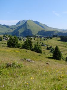 Preview wallpaper landscape, grass, trees, mountains, valley