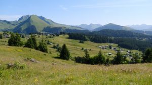 Preview wallpaper landscape, grass, trees, mountains, valley