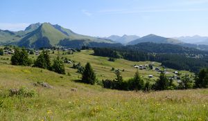 Preview wallpaper landscape, grass, trees, mountains, valley