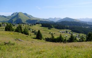 Preview wallpaper landscape, grass, trees, mountains, valley