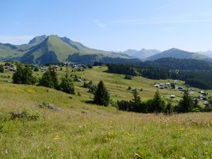 Preview wallpaper landscape, grass, trees, mountains, valley