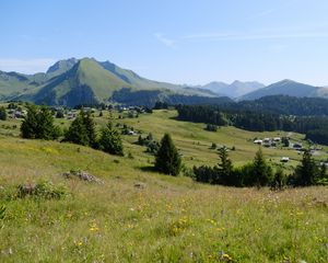 Preview wallpaper landscape, grass, trees, mountains, valley