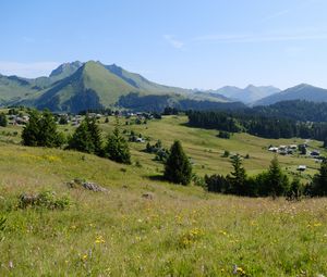 Preview wallpaper landscape, grass, trees, mountains, valley