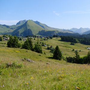 Preview wallpaper landscape, grass, trees, mountains, valley