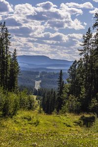 Preview wallpaper landscape, hills, forest, view, overview
