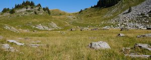 Preview wallpaper landscape, hills, grass, trees, nature