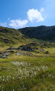 Preview wallpaper landscape, hills, mountains, grass, nature