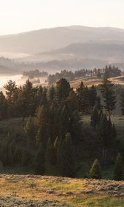 Preview wallpaper landscape, hills, trees, fog, nature