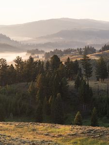 Preview wallpaper landscape, hills, trees, fog, nature