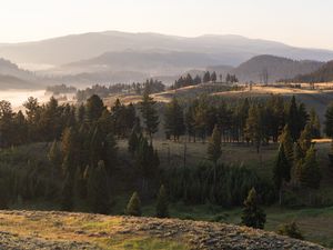 Preview wallpaper landscape, hills, trees, fog, nature