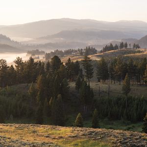 Preview wallpaper landscape, hills, trees, fog, nature