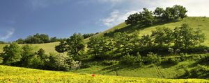 Preview wallpaper landscape, hills, trees, field, ears of corn, nature